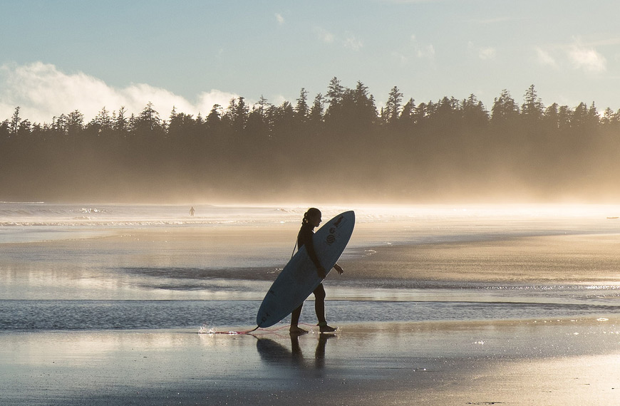 Introduction of Ninzio WordPress Themes